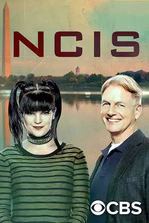 NCIS S17E11 - IN THE WIND